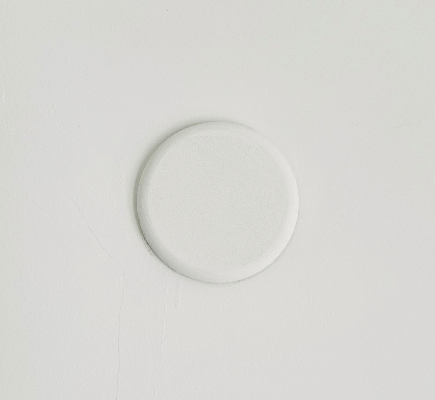 White ceiling rose on a plain white background